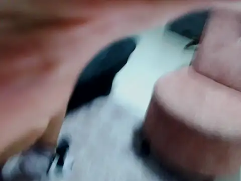 Snapshot of kata-gomez chatting on February 21, 2026, 3:40 am kata-gomez online show from February 21, 2026, 3:40 am