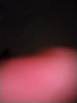 hugenicecock7979 online show from October 13, 2025, 11:21 am