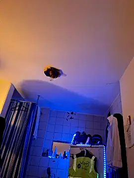 a7ex online show from December 15, 2024, 2:30 am