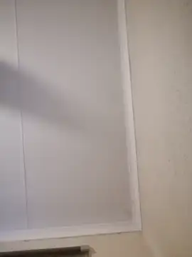 Pnice online show from November 3, 2025, 4:58 am