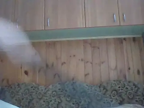 Snapshot of Maksymilian1 chatting on February 22, 2026, 9:41 am Maksymilian1 online show from February 22, 2026, 9:41 am