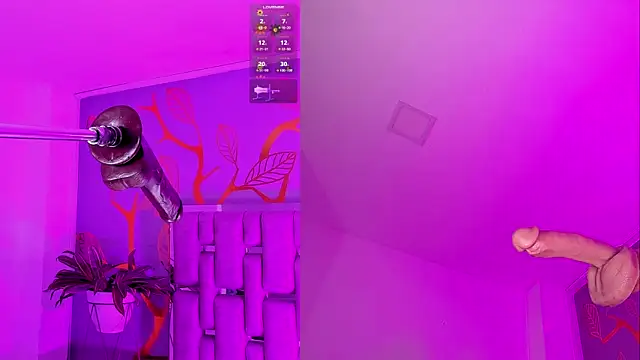 DollyMae  online show from July 21, 2026, 4:04 am