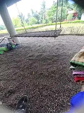 Desi Horny Boys online show from September 15, 2025, 6:13 am