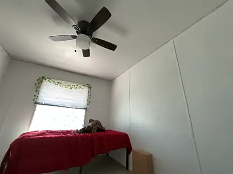 moan4mona online show from March 17, 2026, 5:49 pm