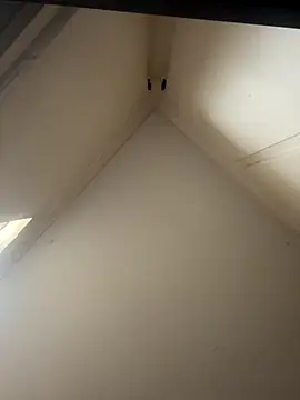 curis4270panda online show from November 26, 2025, 1:50 am