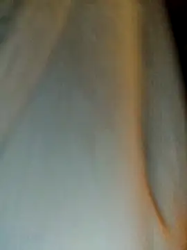 himNIGuys online show from February 11, 2026, 7:08 pm