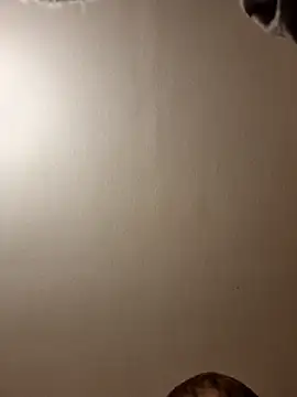 Snapshot of gazb90 chatting on November 14, 2025, 11:24 pm gazb90 online show from November 14, 2025, 11:24 pm