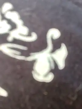 Snapshot of papukurty chatting on February 22, 2026, 12:15 pm papukurty online show from February 22, 2026, 12:15 pm