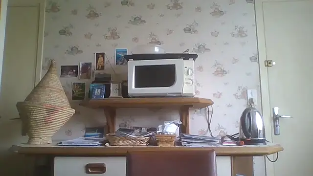 Snapshot of gegevincent chatting on May 2, 2026, 11:37 am gegevincent online show from May 2, 2026, 11:37 am