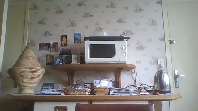 Snapshot of gegevincent chatting on May 3, 2026, 11:27 am gegevincent online show from May 3, 2026, 11:27 am