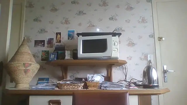 Snapshot of gegevincent chatting on May 10, 2026, 1:27 pm gegevincent online show from May 10, 2026, 1:27 pm