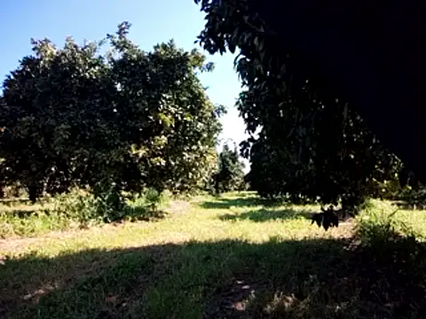 stefanoss321 online show from March 9, 2026, 9:24 am