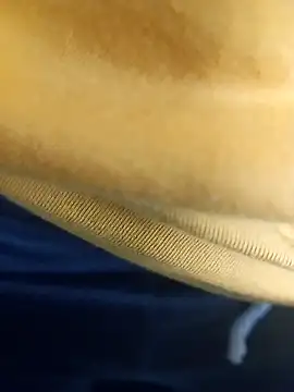 pauzudao 12 online show from March 3, 2026, 9:31 pm