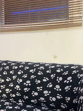 cody fox10 online show from April 14, 2026, 1:17 pm