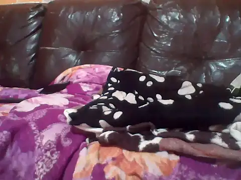 PREDADOR76 online show from October 10, 2025, 4:39 pm