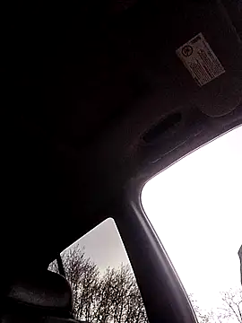 1234locos online show from March 31, 2026, 12:38 pm