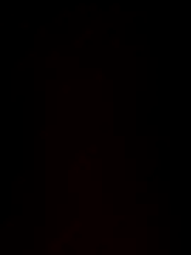 paigeycakes online show from October 11, 2025, 5:17 am