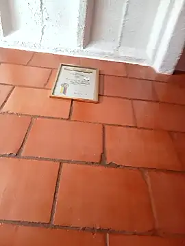 Lee priest online show from January 17, 2026, 5:27 pm