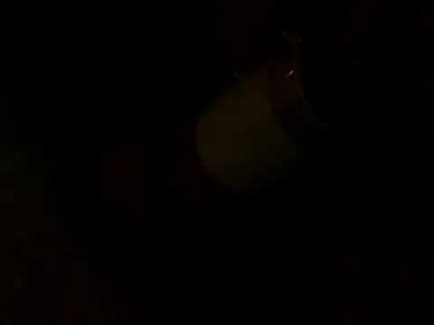 PointXXL online show from December 16, 2025, 2:33 pm