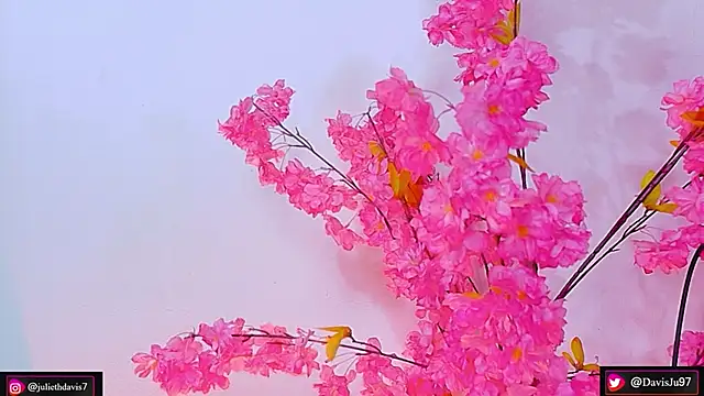 Snapshot of JulietaDavis chatting on May 27, 2026, 9:39 am JulietaDavis online show from May 27, 2026, 9:39 am