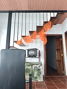 Snapshot of Hiroshi_Shen chatting on November 2, 2025, 12:07 pm Hiroshi Shen online show from November 2, 2025, 12:07 pm