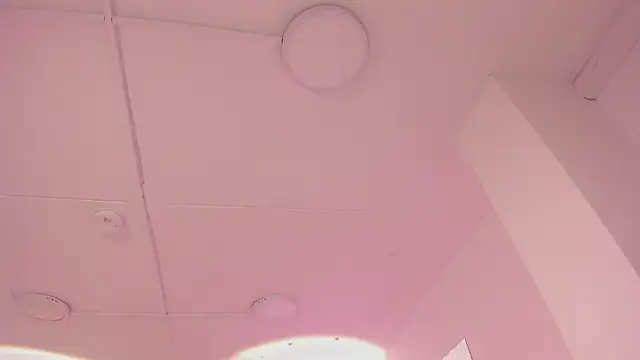 TokyoHaskel online show from November 13, 2025, 5:06 am