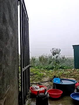 yoowwmr online show from November 12, 2025, 12:11 am