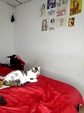 venusobryan 55 online show from September 18, 2025, 11:07 pm