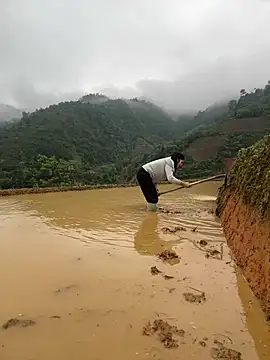 ThiHa003 online show from April 2, 2026, 2:42 am