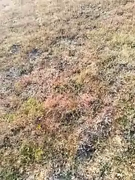 Snapshot of coocon2020 chatting on November 16, 2025, 2:39 am coocon2020 online show from November 16, 2025, 2:39 am