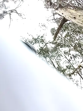 Thomasjons  online show from April 14, 2026, 4:46 pm