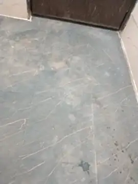 Wet BunnyFun online show from April 13, 2026, 6:02 pm