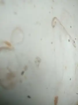 Snapshot of Mounstro3 chatting on November 28, 2025, 4:42 pm Mounstro3 online show from November 28, 2025, 4:42 pm