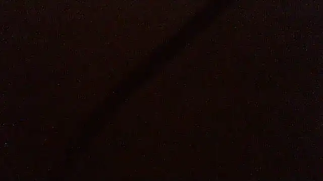 pietje1991 online show from April 15, 2026, 12:06 am