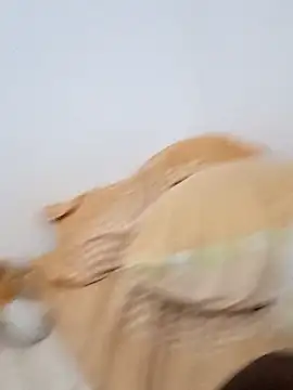 Snapshot of Blackpanther0115 chatting on October 3, 2025, 10:34 am Blackpanther0115 online show from October 3, 2025, 10:34 am