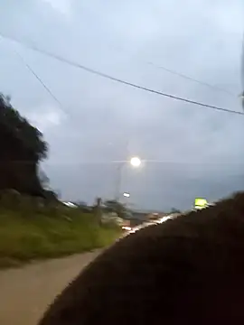 Fernandar2025 online show from February 18, 2026, 11:06 am