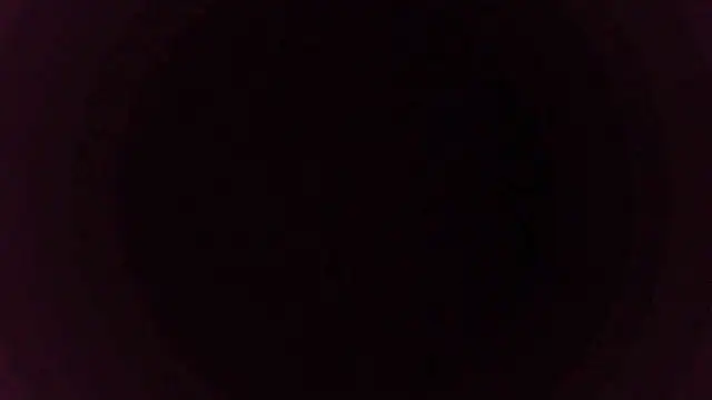 sakuradelreina online show from December 15, 2025, 4:06 am