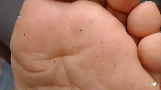 ash feet online show from September 22, 2025, 4:03 am