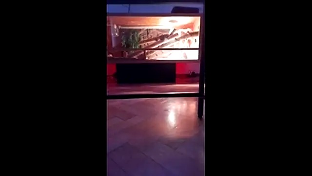 Snapshot of M6I6K6E@xh chatting on December 4, 2025, 7:28 am M6I6K6Exh online show from December 4, 2025, 7:28 am