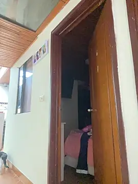 juliana-mancini online show from January 8, 2026, 6:21 pm