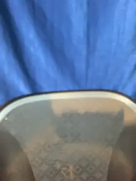 Snapshot of Rashi-48 chatting on November 17, 2025, 6:03 pm Rashi-48 online show from November 17, 2025, 6:03 pm