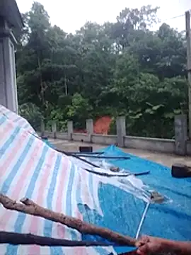 phlin1 online show from July 27, 2026, 10:50 pm