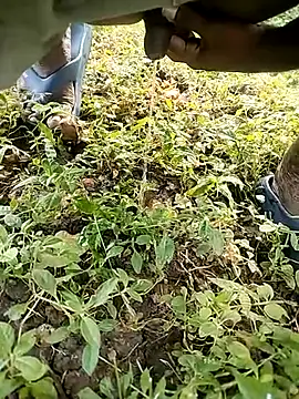 BlackhorseBBC online show from October 14, 2025, 2:01 am