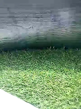 BlackhorseBBC online show from March 26, 2026, 6:52 am