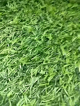 BlackhorseBBC online show from April 12, 2026, 8:52 am