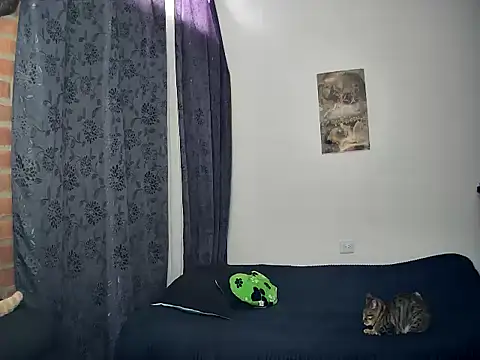 juantalents online show from October 15, 2025, 2:39 pm