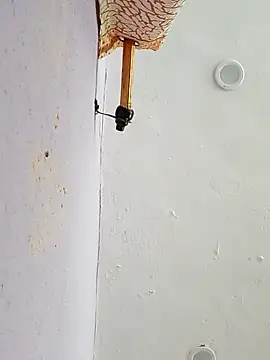 Snapshot of funcreat chatting on September 11, 2025, 11:54 am funcreat online show from September 11, 2025, 11:54 am