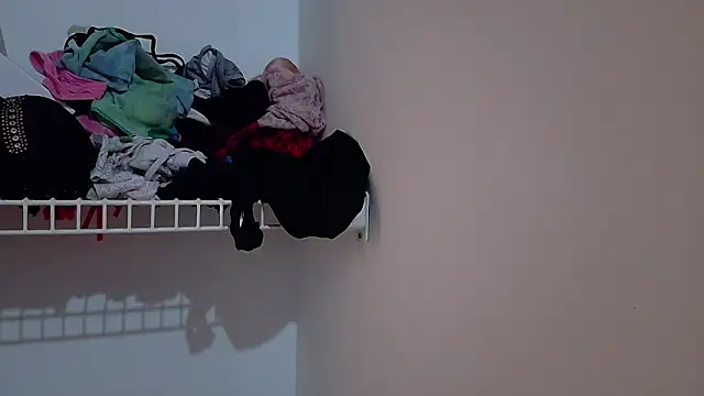 Snapshot of ValeriGallardo17 chatting on September 9, 2025, 9:25 pm ValeriGallardo17 online show from September 9, 2025, 9:25 pm