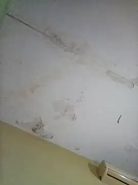 Snapshot of cometa267 chatting on October 14, 2025, 5:58 pm cometa267 online show from October 14, 2025, 5:58 pm