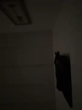 Snapshot of tyrek5051 chatting on November 12, 2025, 5:02 pm tyrek5051 online show from November 12, 2025, 5:02 pm